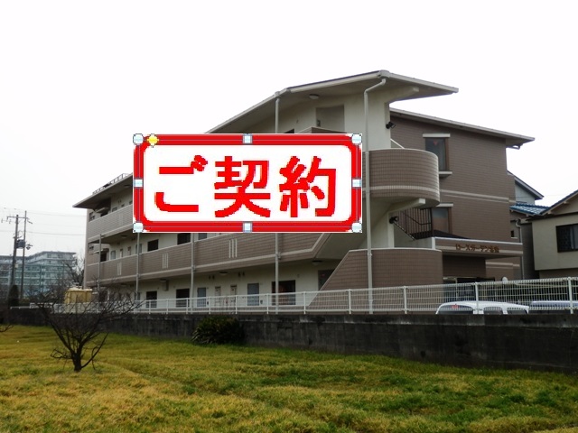 画像1